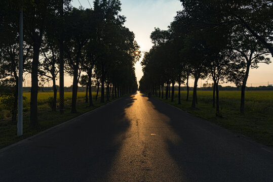 夕阳道路