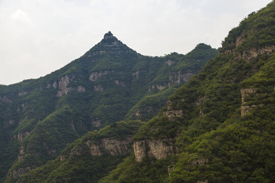 青山