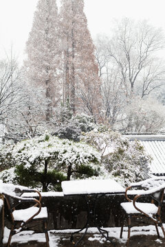 锡城瑞雪兆丰年