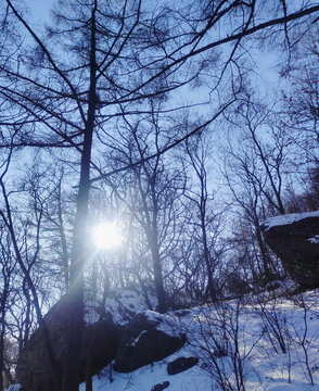 雪景