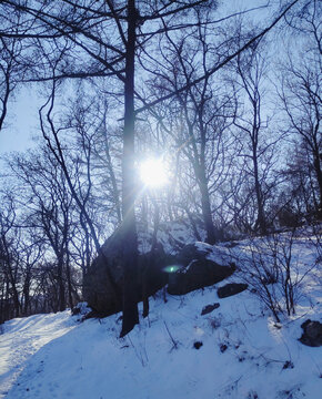 山中雪