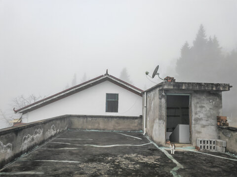 乡村大雾天气