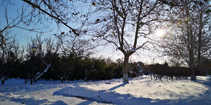 哈尔滨雪景