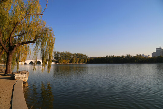 玉渊潭公园的树和桥之秋季景色