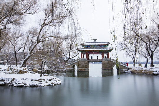 雪景