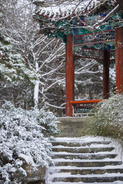 雪景