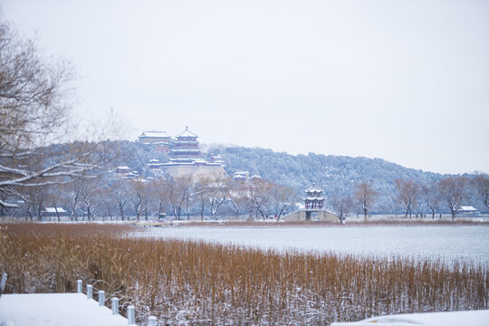 雪景