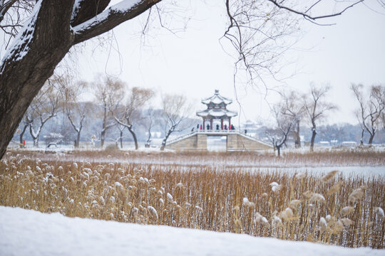 雪景