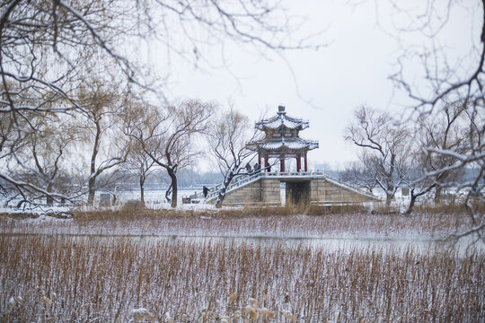 雪景