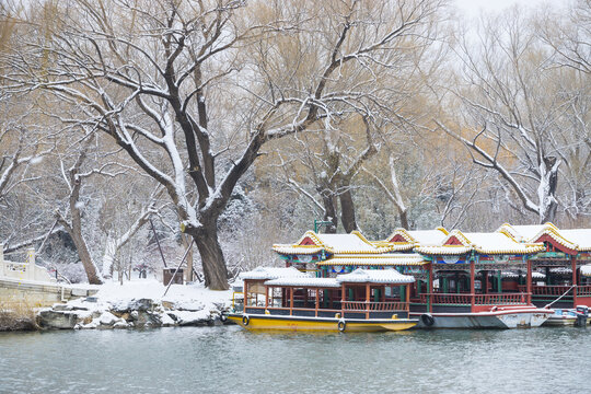 雪景