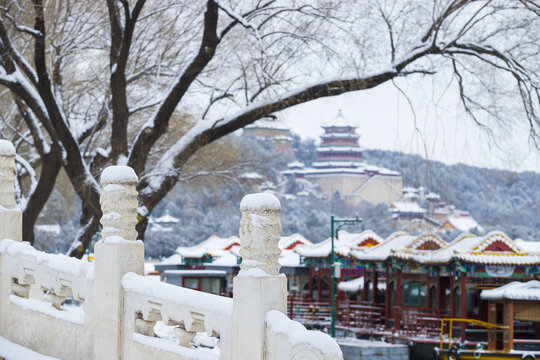 雪景