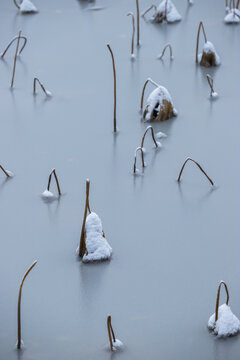 雪景