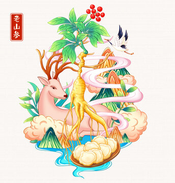 老山参插画手绘