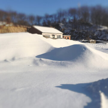 雪景