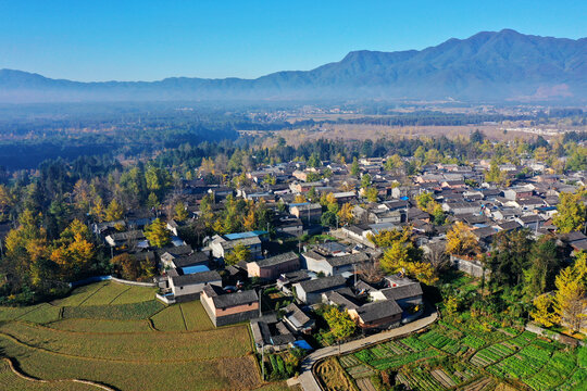 银杏村风光