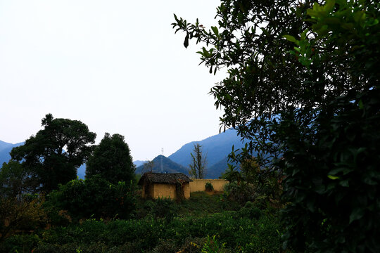 乡村风景