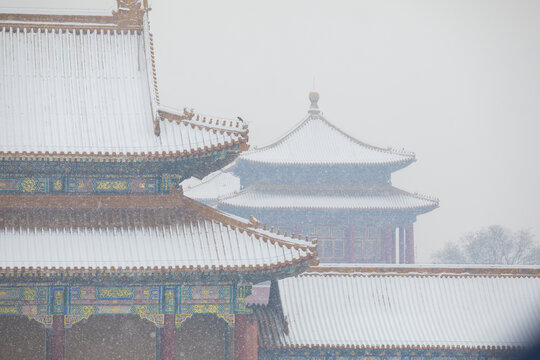 雪景