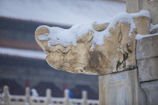 雪景