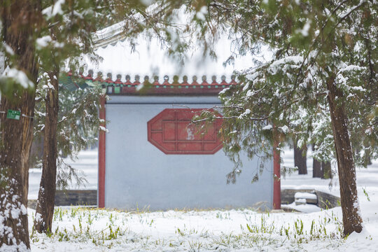 雪景