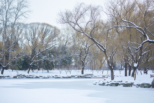 雪景