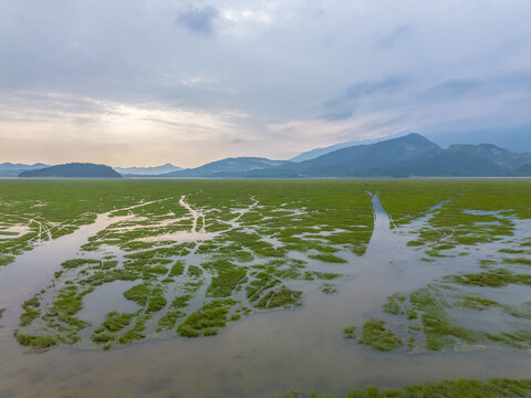 庐山风景