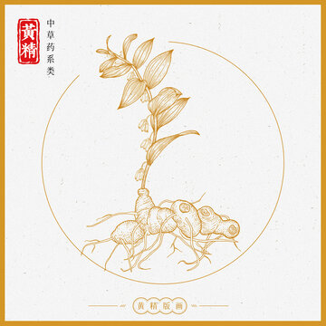 黃精