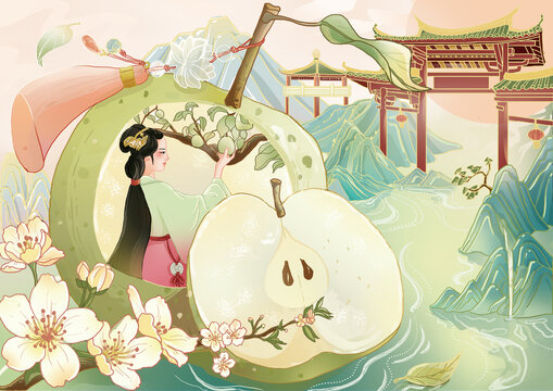 梨包裝