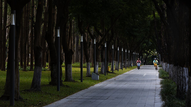 非高楼林立的普通深圳城市道路