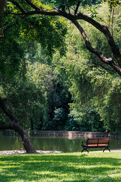 深圳洪湖公园景观小景