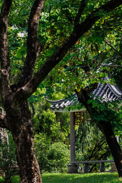 深圳洪湖公园景观小景