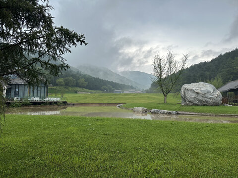 绿地暴雨风景