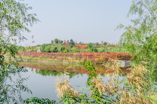 湖边风景