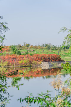 湖边风景