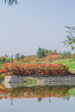 湖边风景