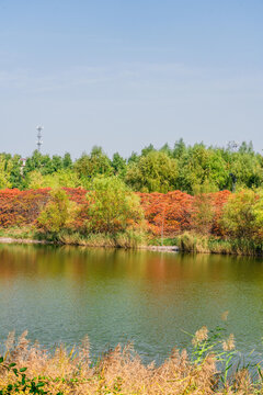 湖边风景