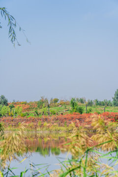 湖边风景