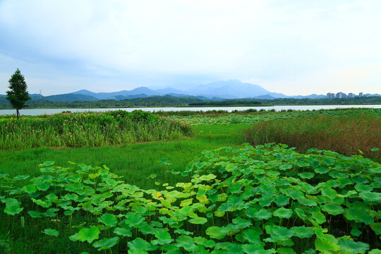 山水风景画