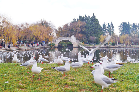 昆明大观楼公园