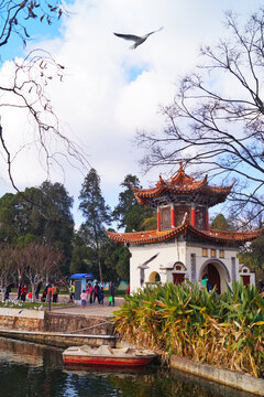 大观楼湖景