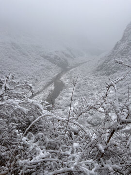 云台山雪景