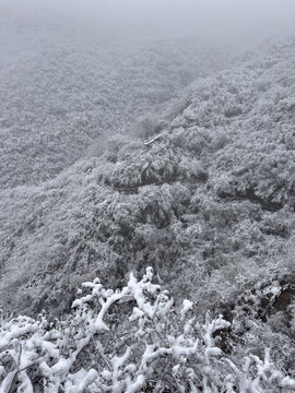 云台山雪景