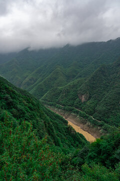 安吉大竹海天荒坪