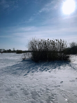 冬日雪景