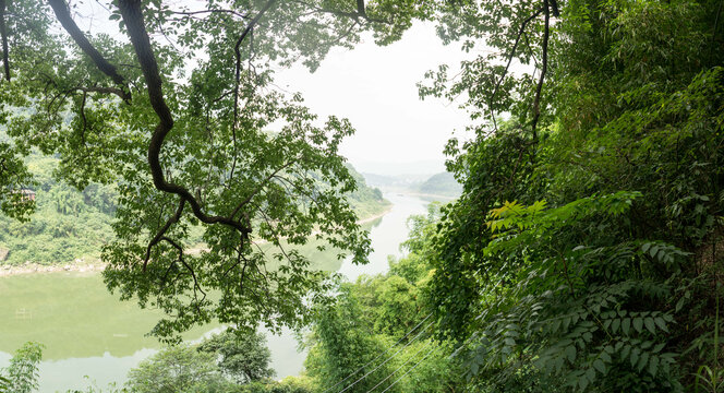 江边风景