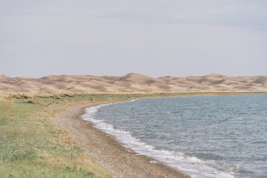 青海省尕海沙漠旁的湖水与草地