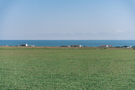 青海省海南州青海湖边的青草地