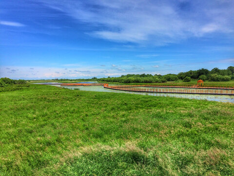 黑龙江黑瞎子岛湿地公园风景