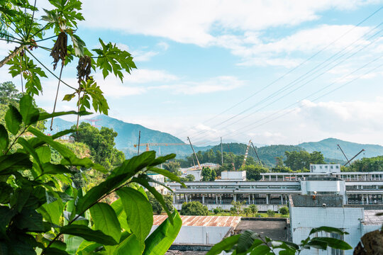 深圳淘金山绿道风景