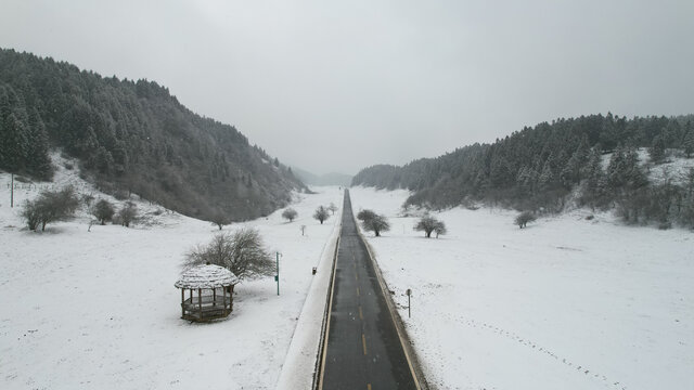 冬天的公路
