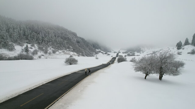 雪地公路